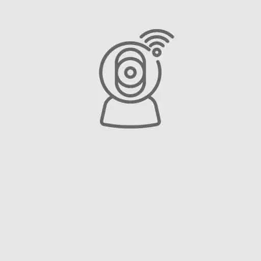 IP Camera